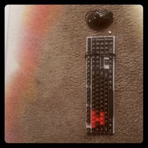 Mouse and keyboard led